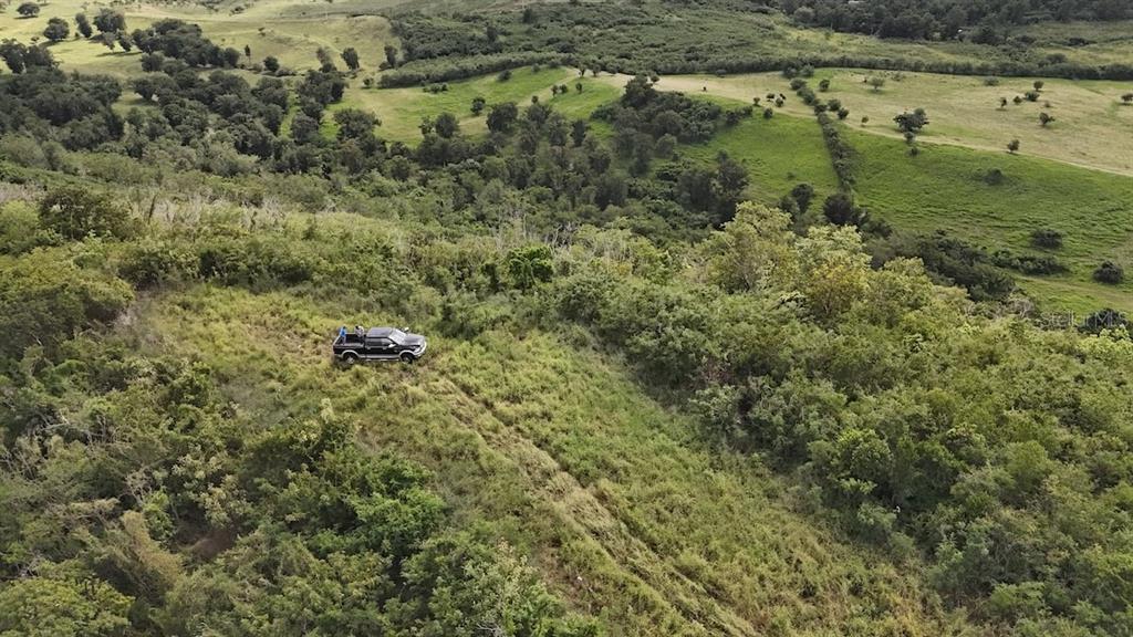 2565, Pr545, Coamo - 6