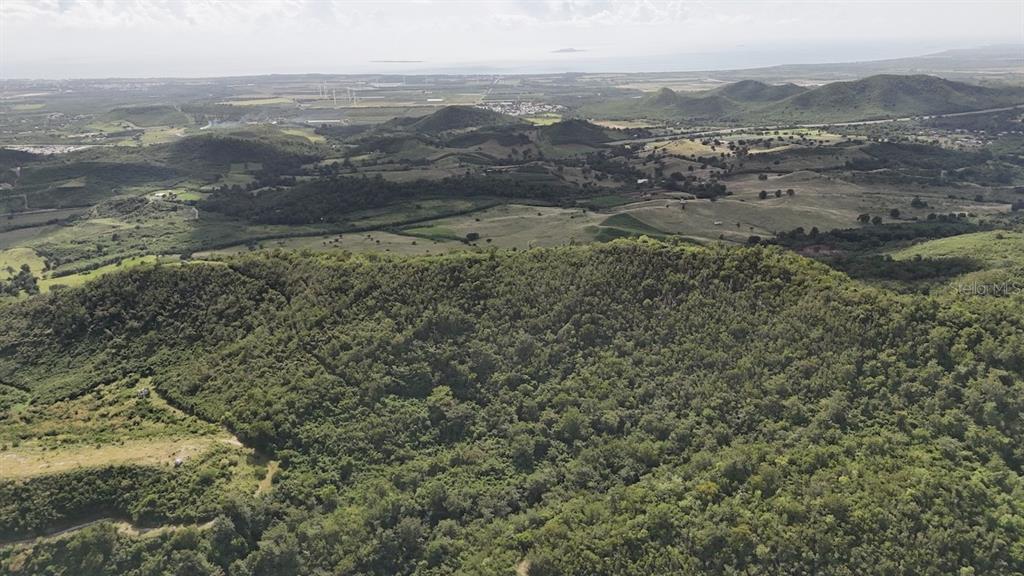 2565, Pr545, Coamo - 7