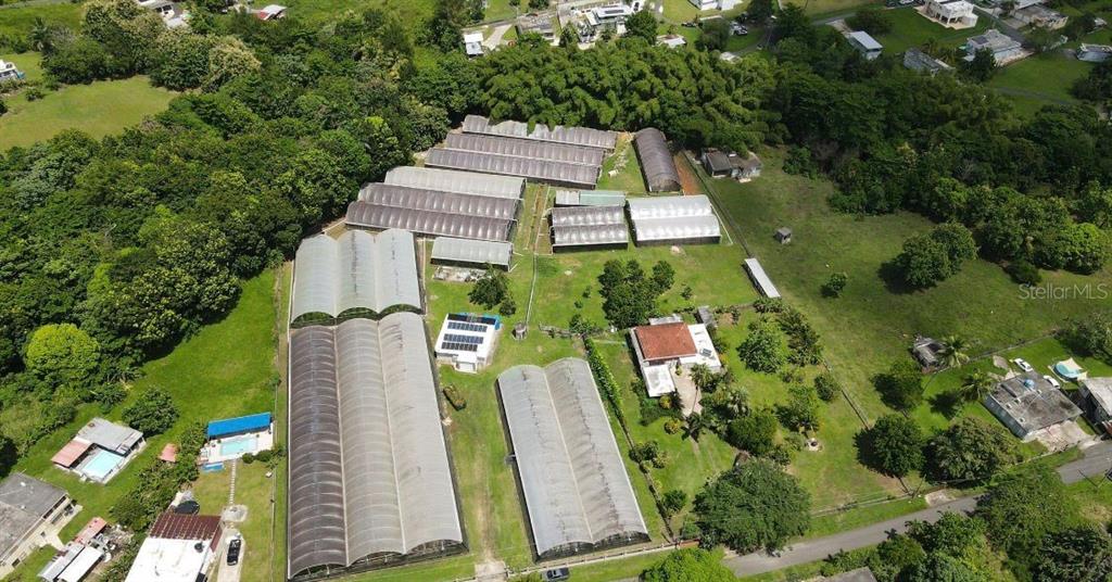 Carr. 137 Km 9.9, Bo. Franques, Morovis - 2