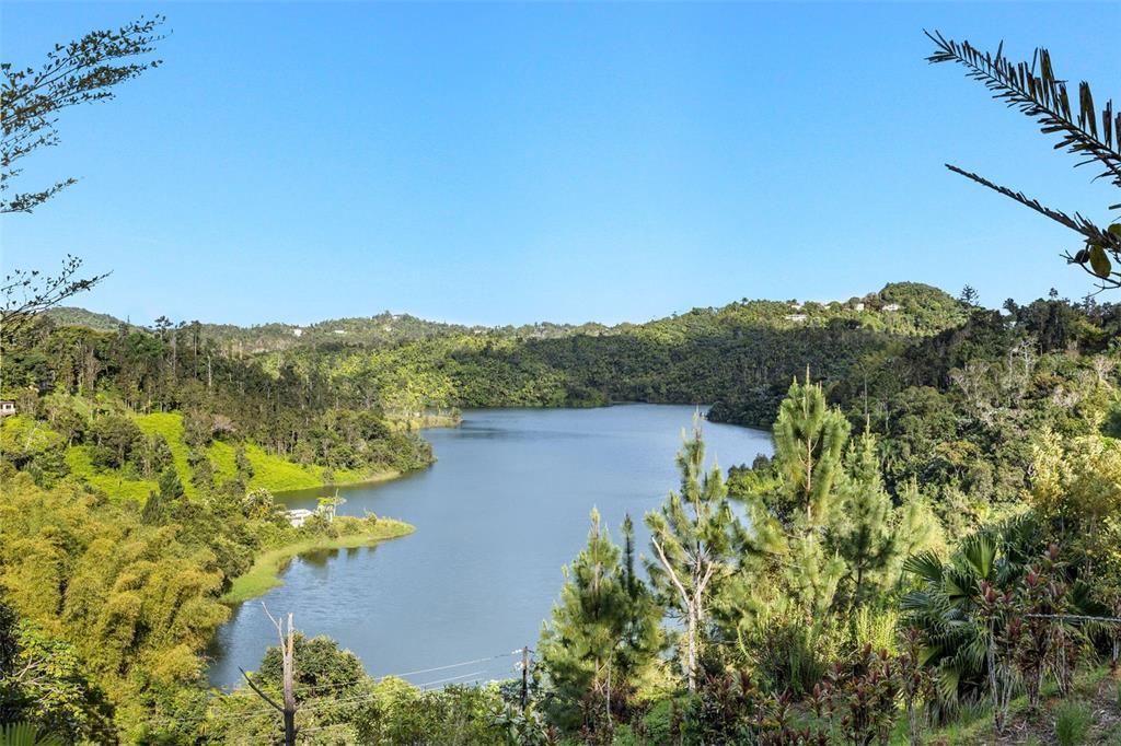 F2-F3, Carretera 742 Km.2.3, Sector Las Villas Bo. Carite, Guayama - 42