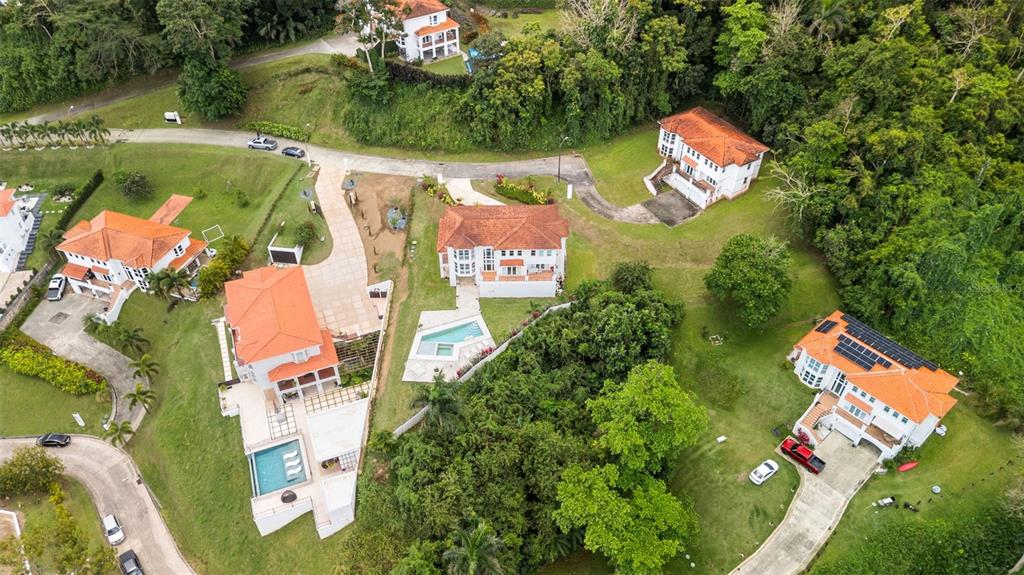 Carretera Pr-175 Km. 4.0k, Esmerald Lake Plantation, Trujillo Alto - 3