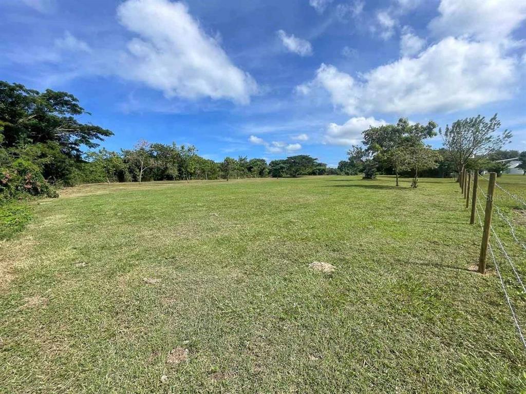 37, Hideaway, Vieques - 10