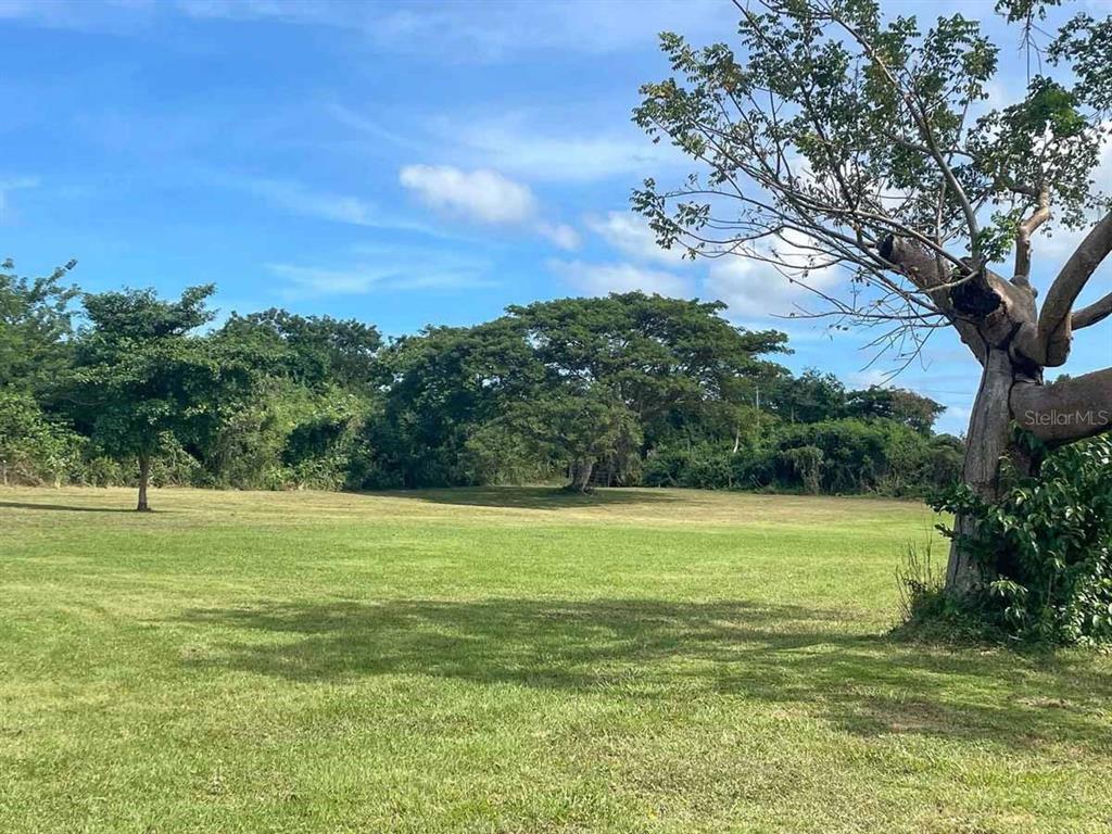 37, Hideaway, Vieques - 12