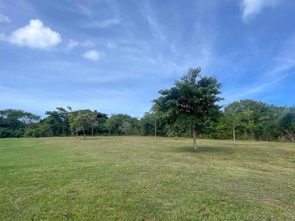 37, Hideaway, Vieques - 13