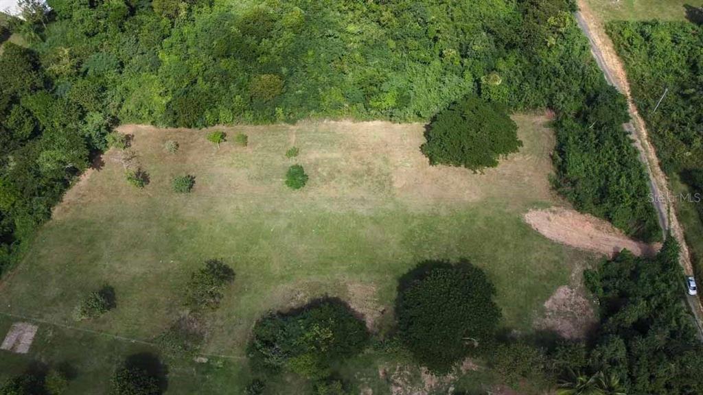 37, Hideaway, Vieques - 5