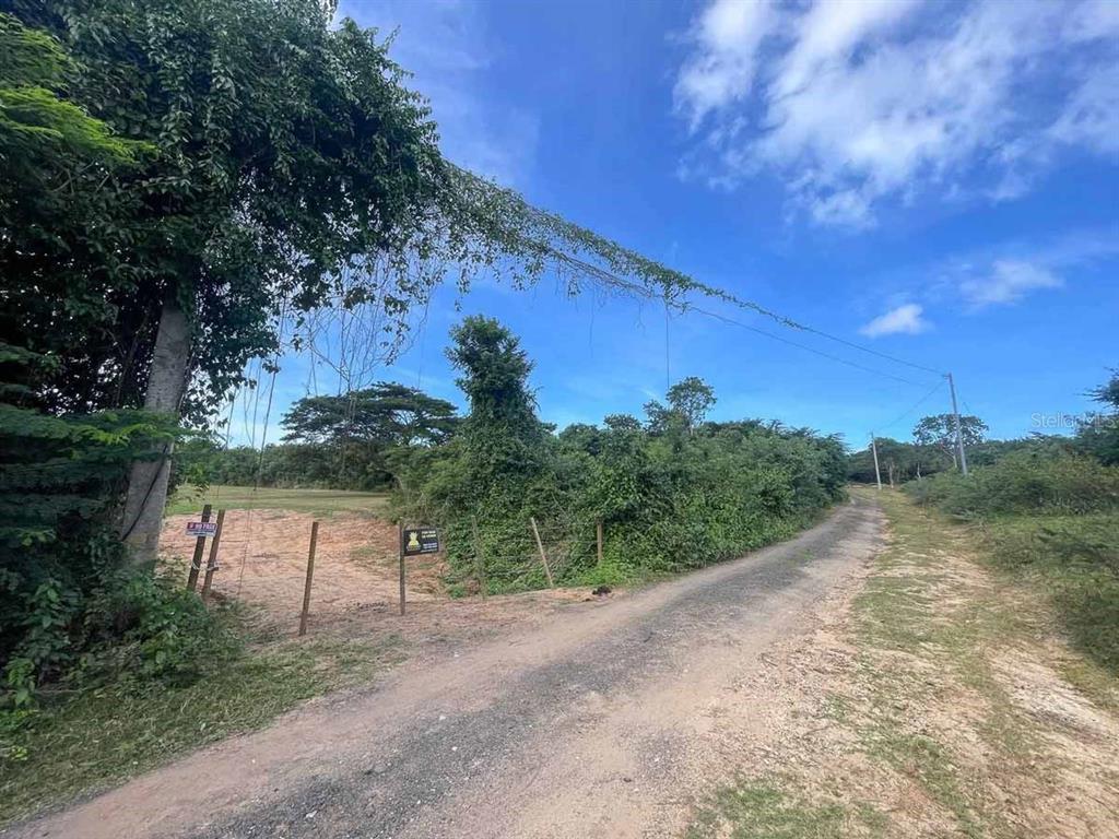 37, Hideaway, Vieques - 6
