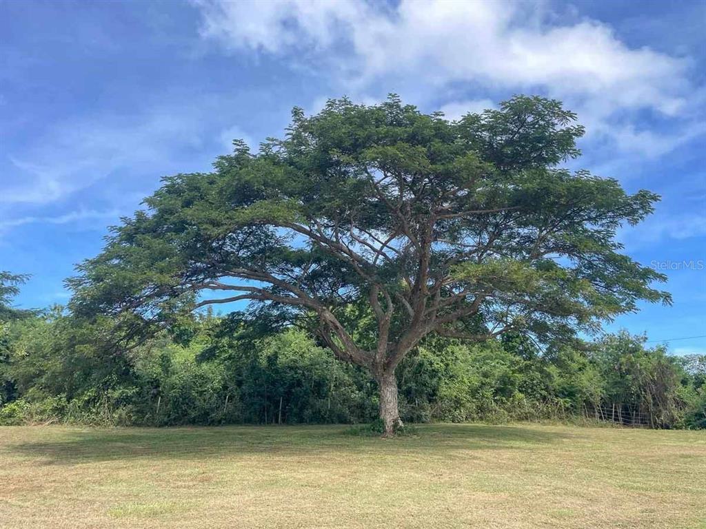 37, Hideaway, Vieques - 7