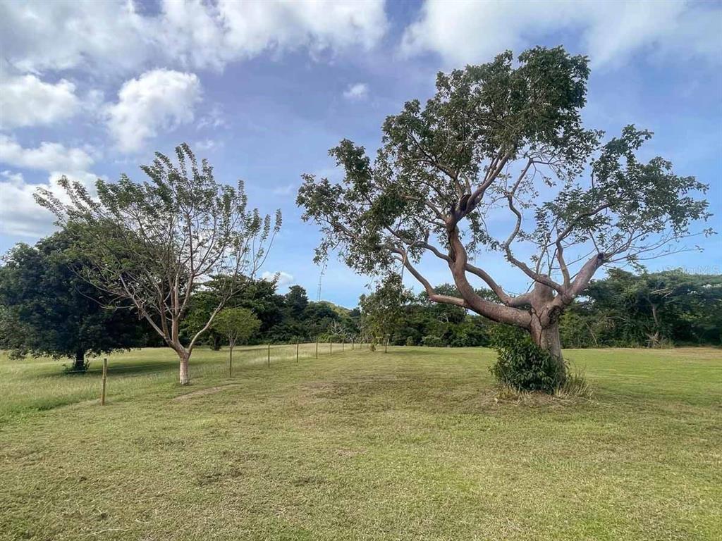 37, Hideaway, Vieques - 8