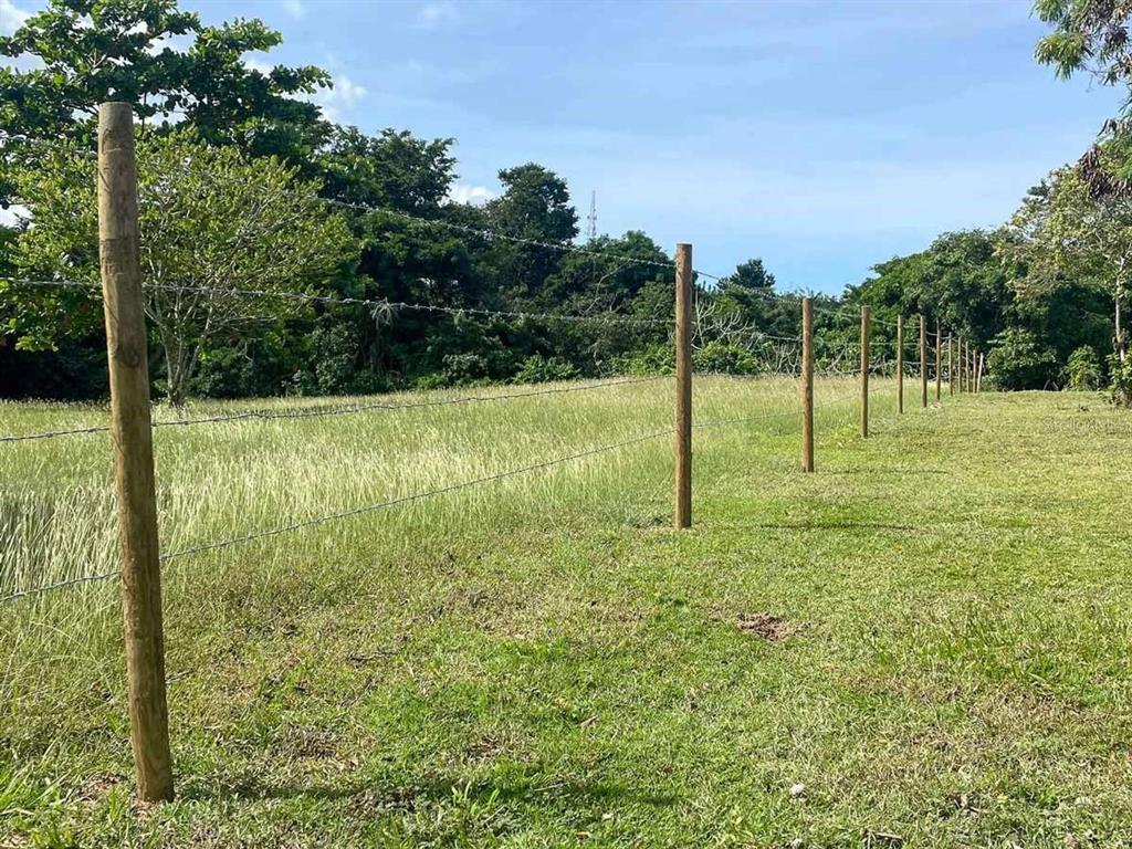 37, Hideaway, Vieques - 9