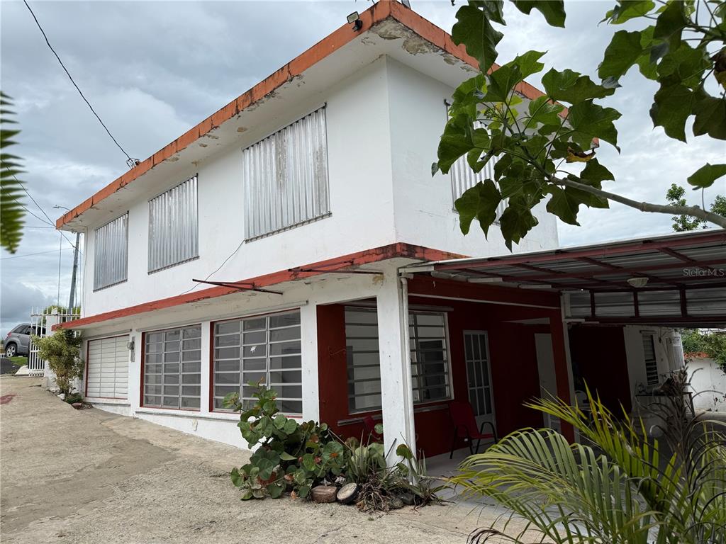 Carr. 901, Camino Nuevo, Yabucoa - 1