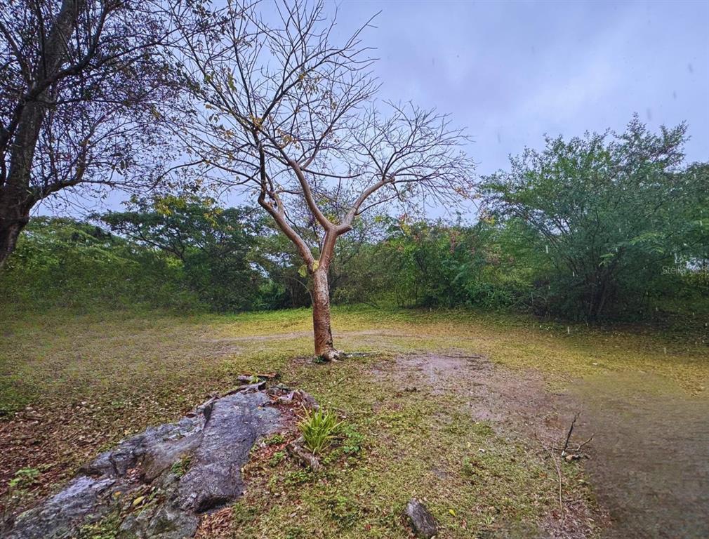 Calle #10, Comm Monte Santo P-2, Vieques - 5
