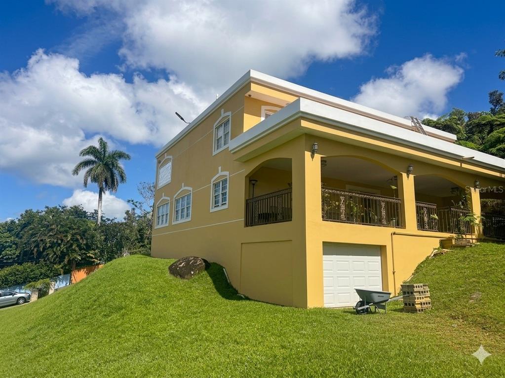 Bo Beatriz Las Piñas, Finca Mi Recreo  Lot 28, Caguas - 2