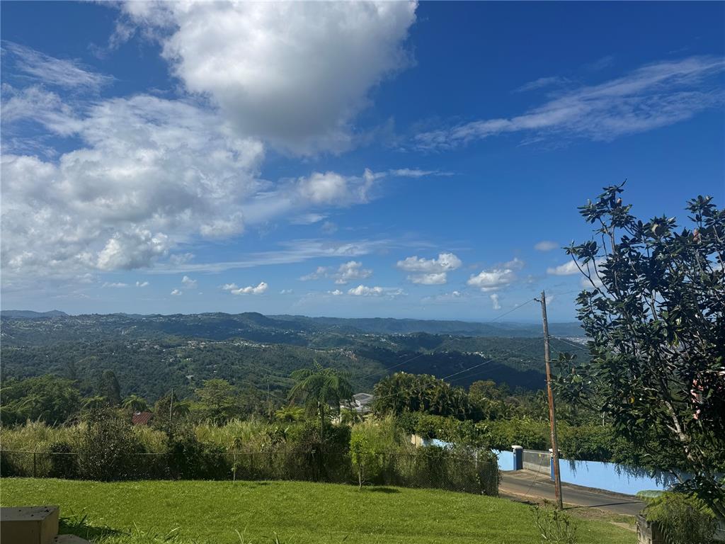 Bo Beatriz Las Piñas, Finca Mi Recreo  Lot 28, Caguas - 28