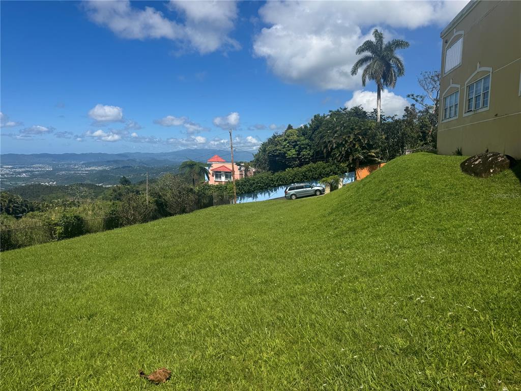 Bo Beatriz Las Piñas, Finca Mi Recreo  Lot 28, Caguas - 30