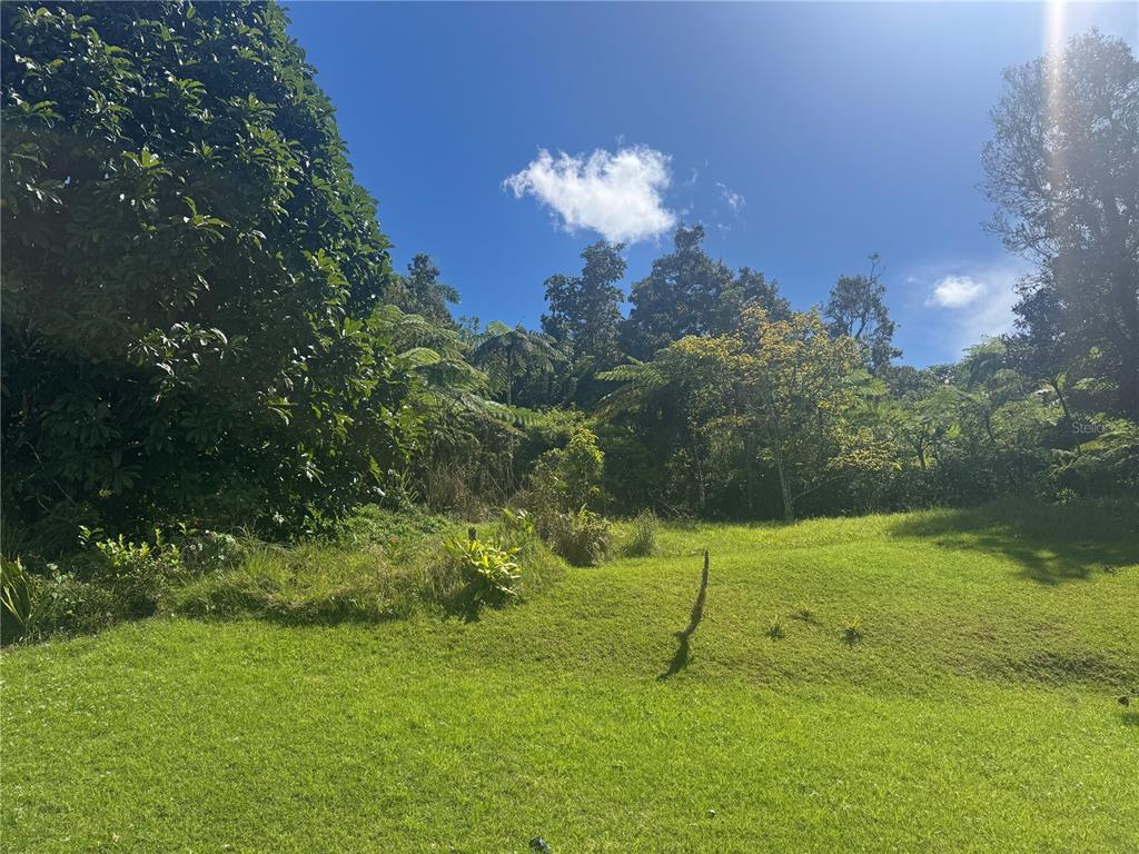 Bo Beatriz Las Piñas, Finca Mi Recreo  Lot 28, Caguas - 31