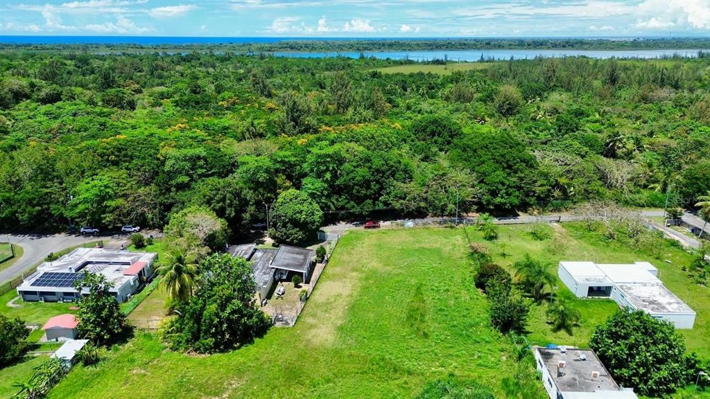Bo Coto Norte, Sector Guayaney, Manati, Manati - 1