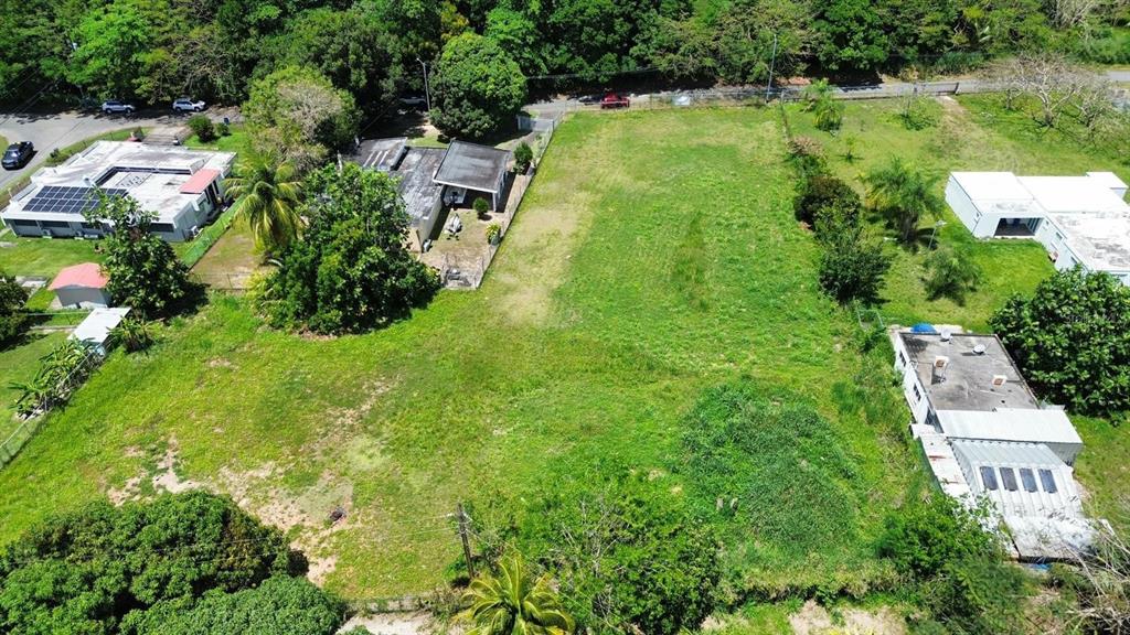 Bo Coto Norte, Sector Guayaney, Manati, Manati - 10