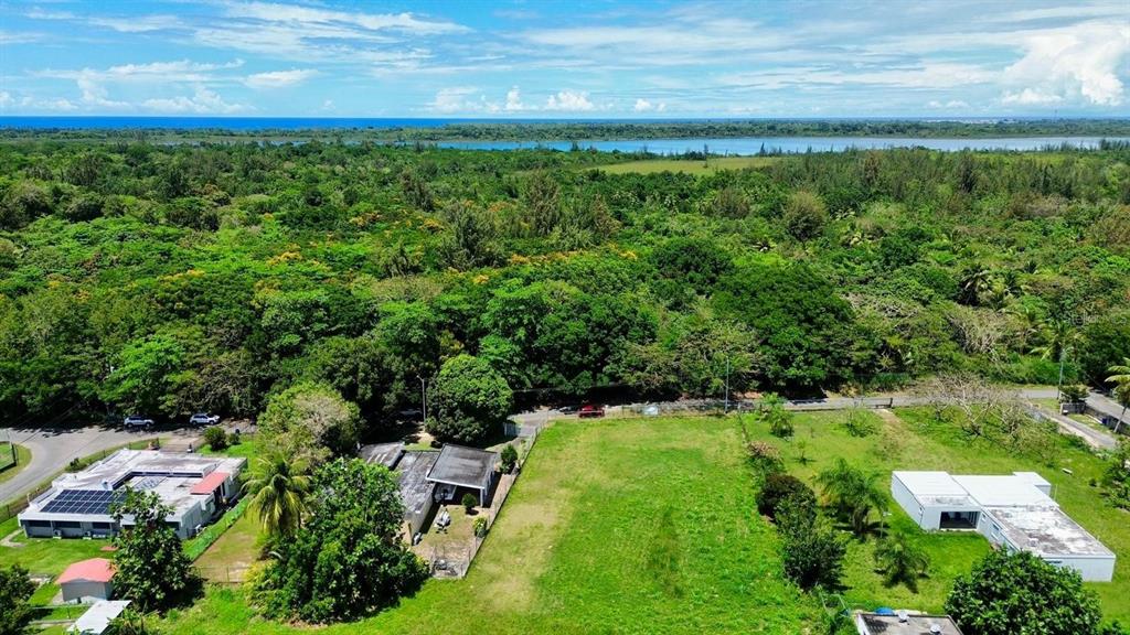 Bo Coto Norte, Sector Guayaney, Manati, Manati - 2