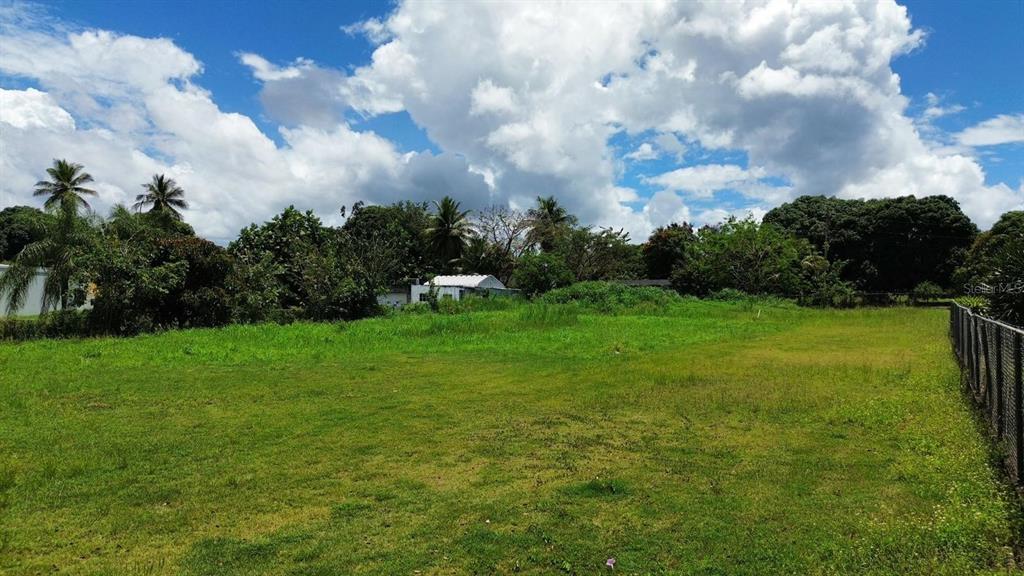 Bo Coto Norte, Sector Guayaney, Manati, Manati - 6