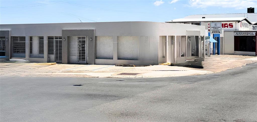 Z40, Laurel, Bayamon - 3
