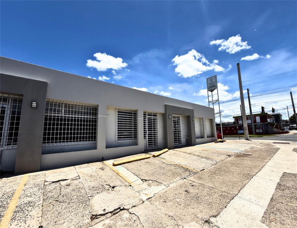 Z40, Laurel, Bayamon - 7