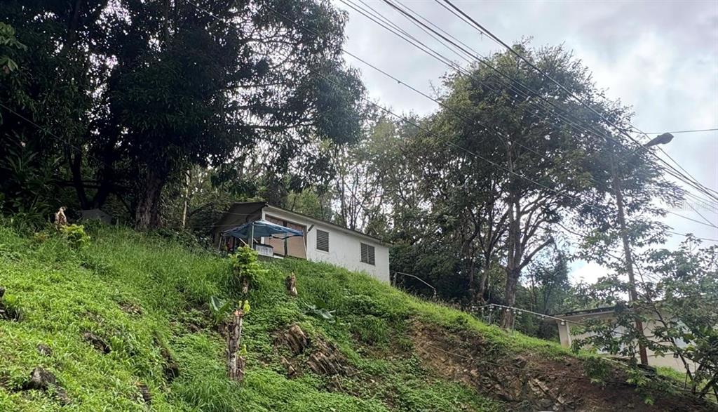 Carr. 344, Km. 1.2, Barrio Guanajibo, Hormigueros - 3
