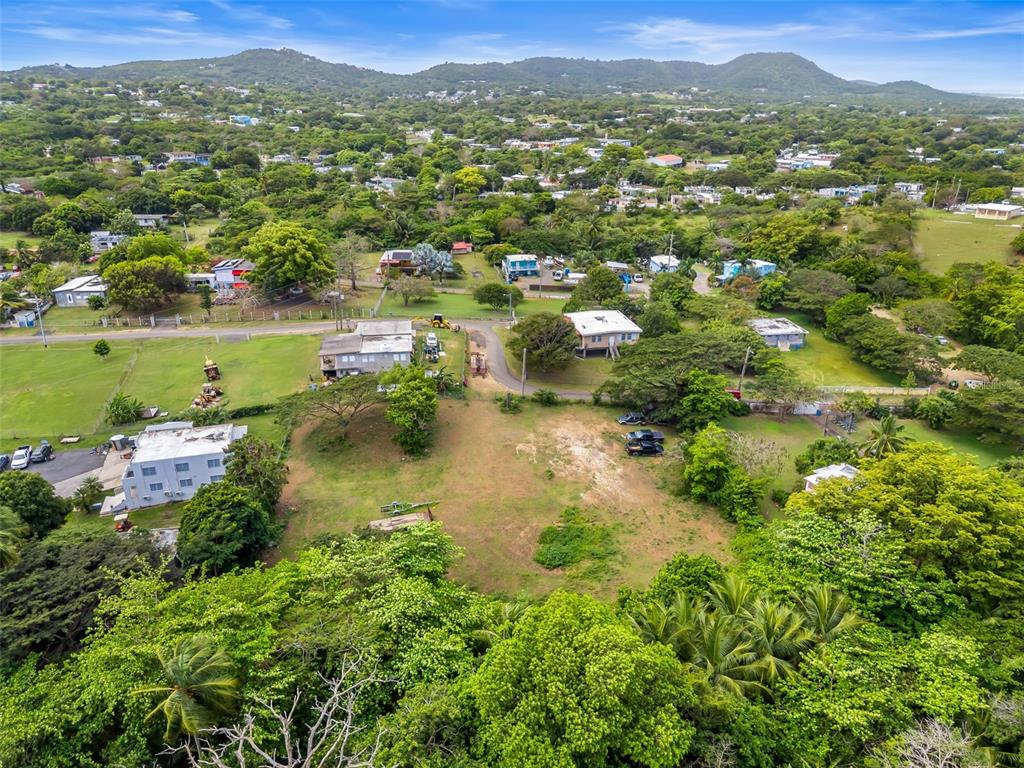 Bo Florida, Solar 4, Vieques - 7