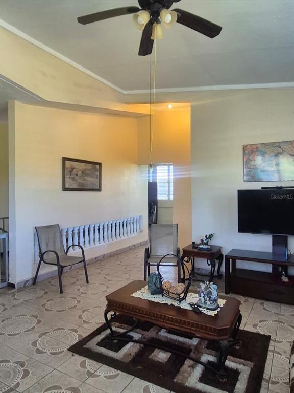 #55a, Calle José Hernandez, Isabela - 13