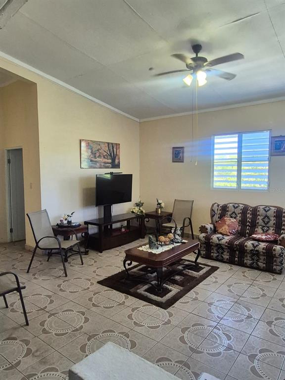 #55a, Calle José Hernandez, Isabela - 20