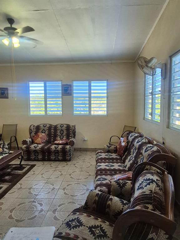 #55a, Calle José Hernandez, Isabela - 9