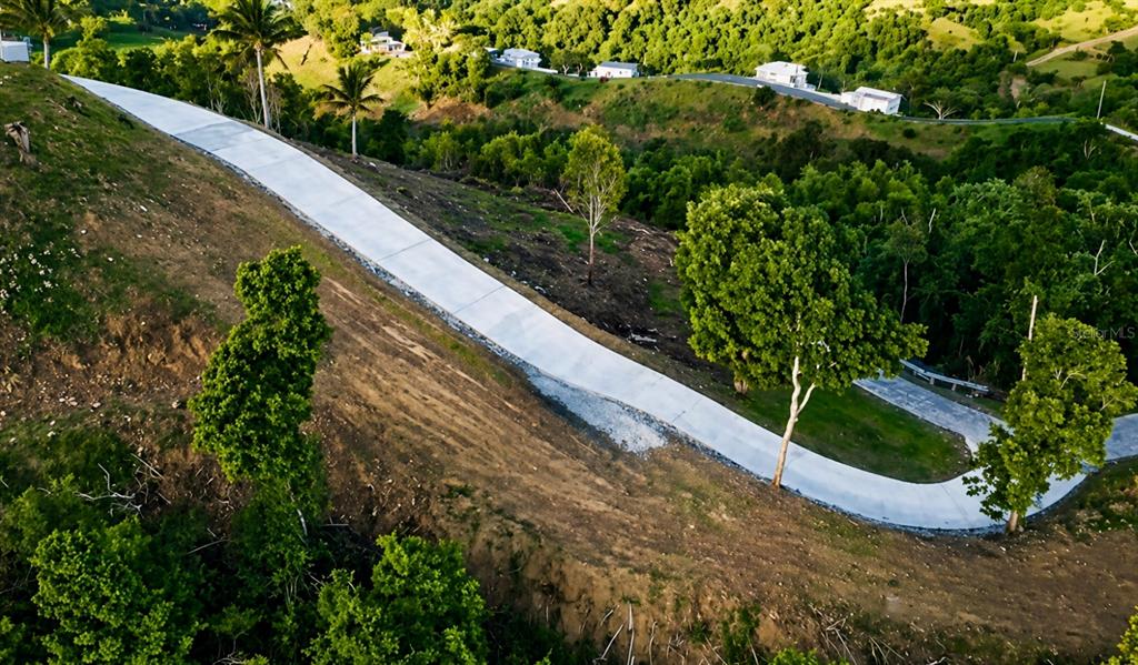 Loma Del Viento, Bo. Masas, Gurabo - 11