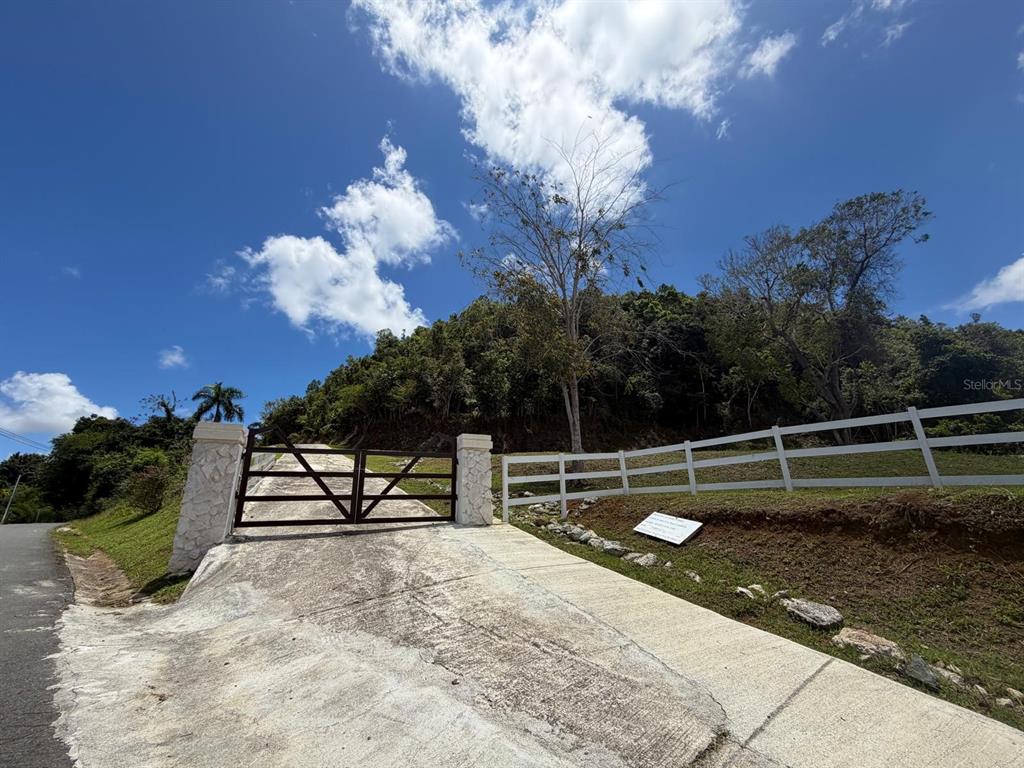 Loma Del Viento, Bo. Masas, Gurabo - 13