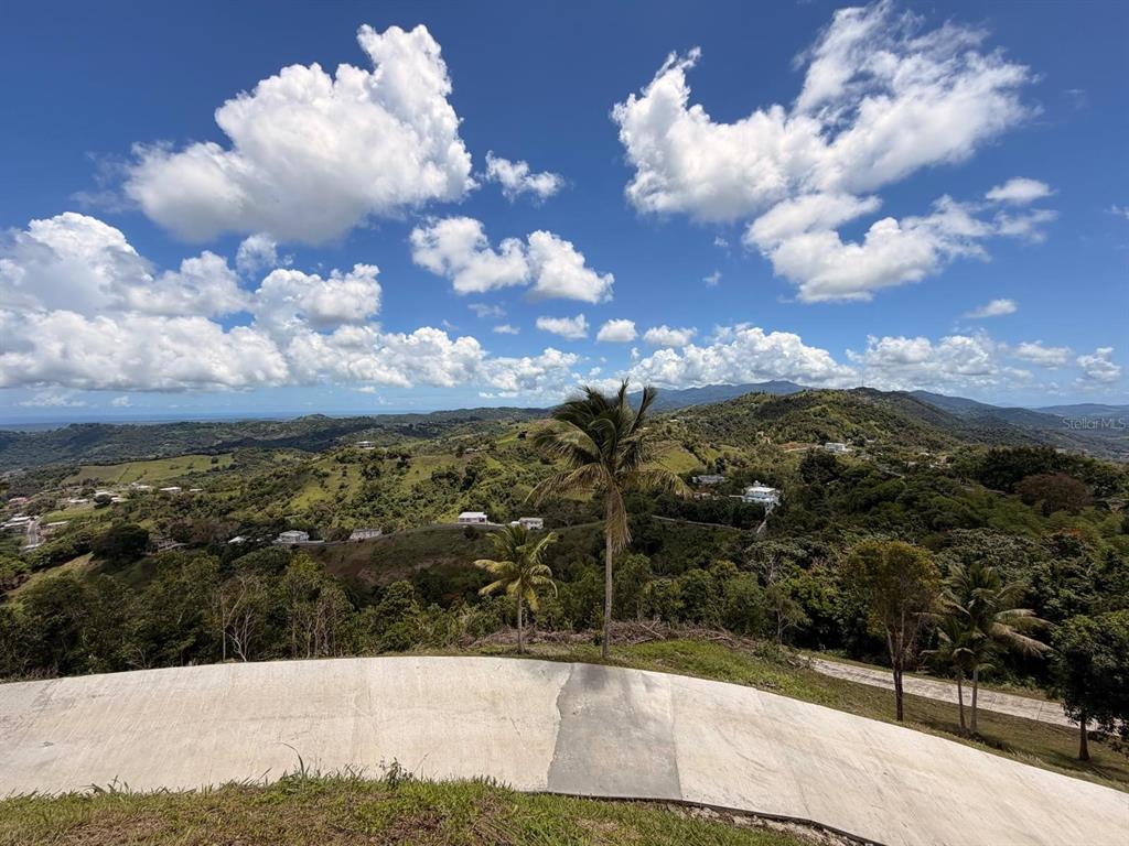 Loma Del Viento, Bo. Masas, Gurabo - 14