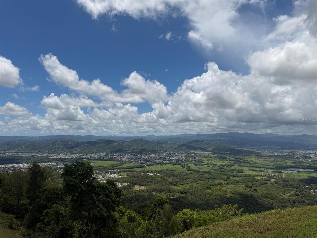 Loma Del Viento, Bo. Masas, Gurabo - 15