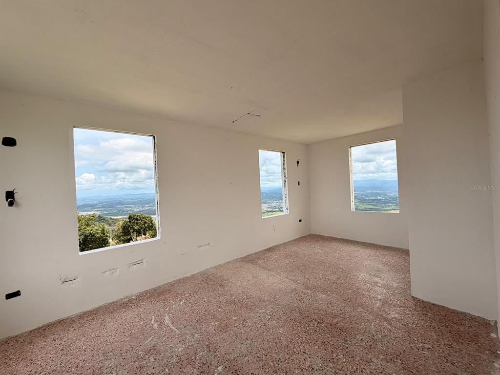 Loma Del Viento, Bo. Masas, Gurabo - 17