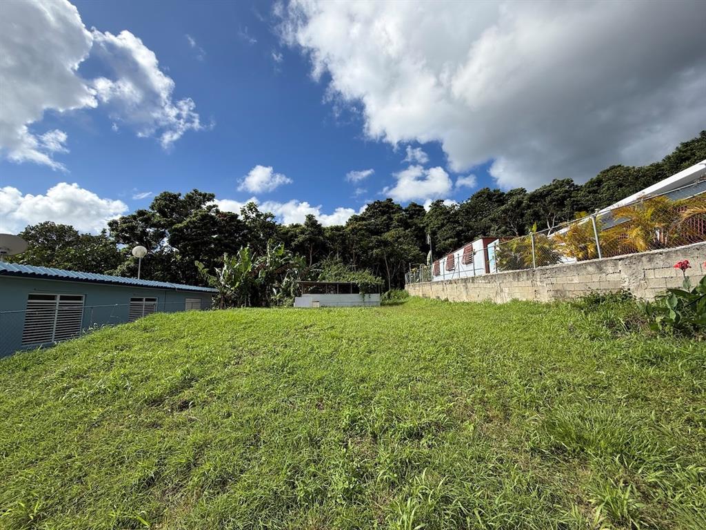 Pr-759 (int), Calle 5 Lote 269, Maunabo - 3