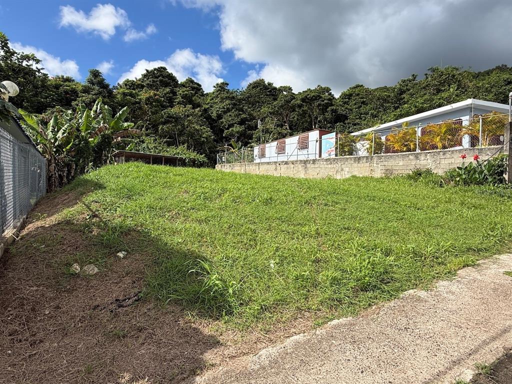 Pr-759 (int), Calle 5 Lote 269, Maunabo - 4