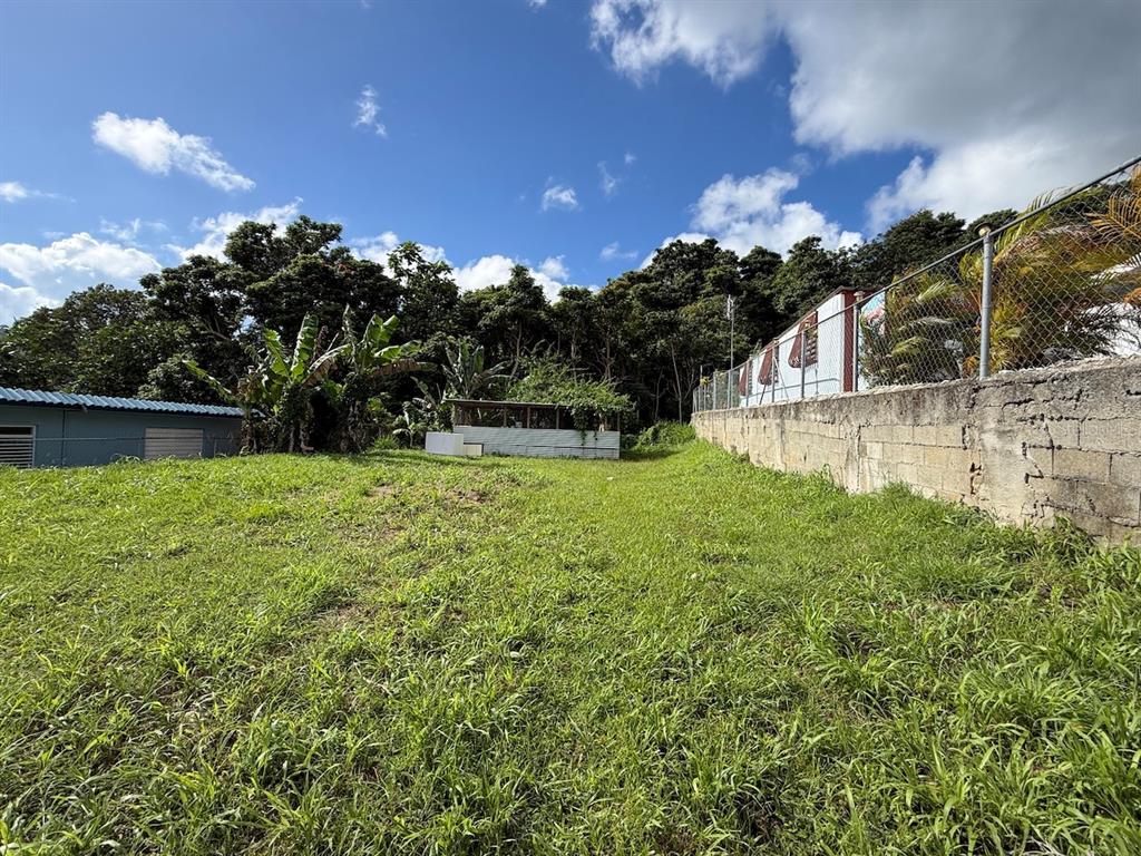 Pr-759 (int), Calle 5 Lote 269, Maunabo - 6
