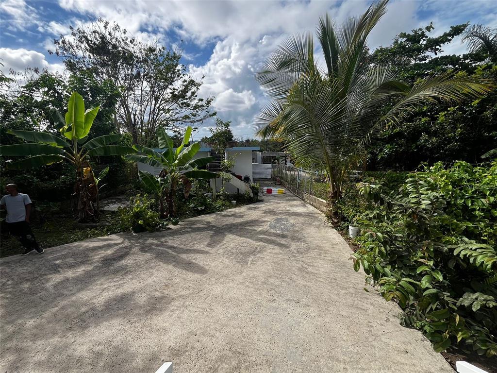 109, Harry Truman, Caguas - 8