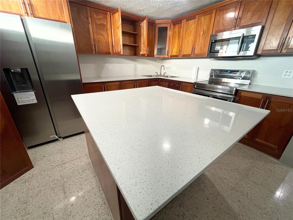 1826, Urb. Valle Real,, Infanta St., Ponce - 6