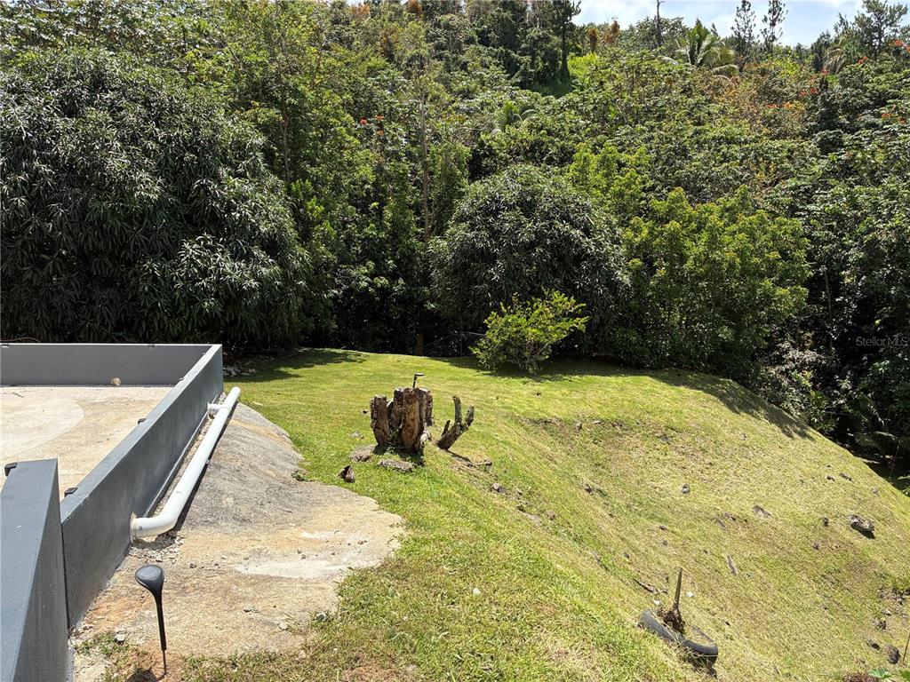 1, 743 Km 4.3, La Vega, Guavate, Cayey - 29