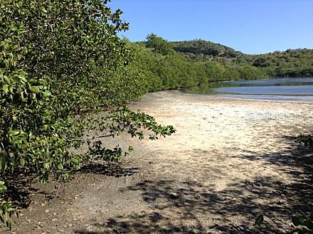 End Of Road, Cam Playa Tamarindo, Culebra - 12