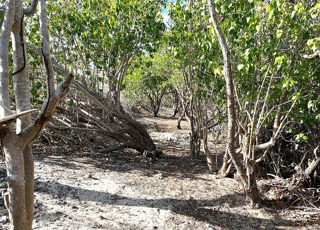 End Of Road, Cam Playa Tamarindo, Culebra - 14