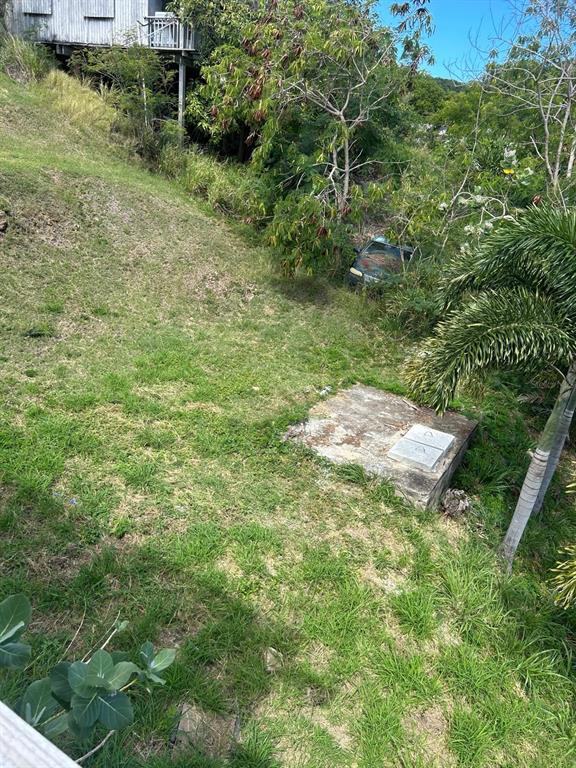 108, Catalina Ortis, Catalina Ortiz, Culebra - 8