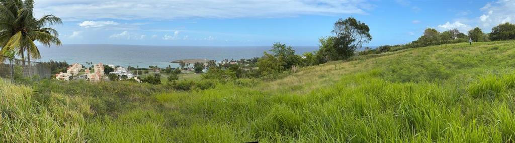 459, Pozo Dulce, Isabela - 3
