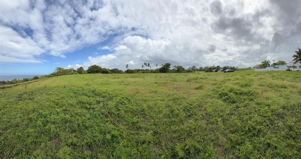 459, Pozo Dulce, Isabela - 4