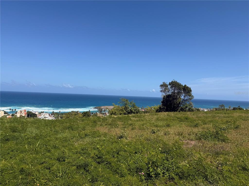 459, Pozo Dulce, Isabela - 5