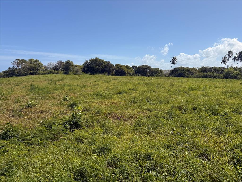 459, Pozo Dulce, Isabela - 6