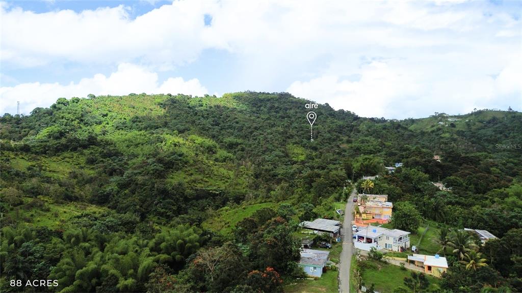 Pr-181 Km 11.0, Cayaguaz, San Lorenzo - 1