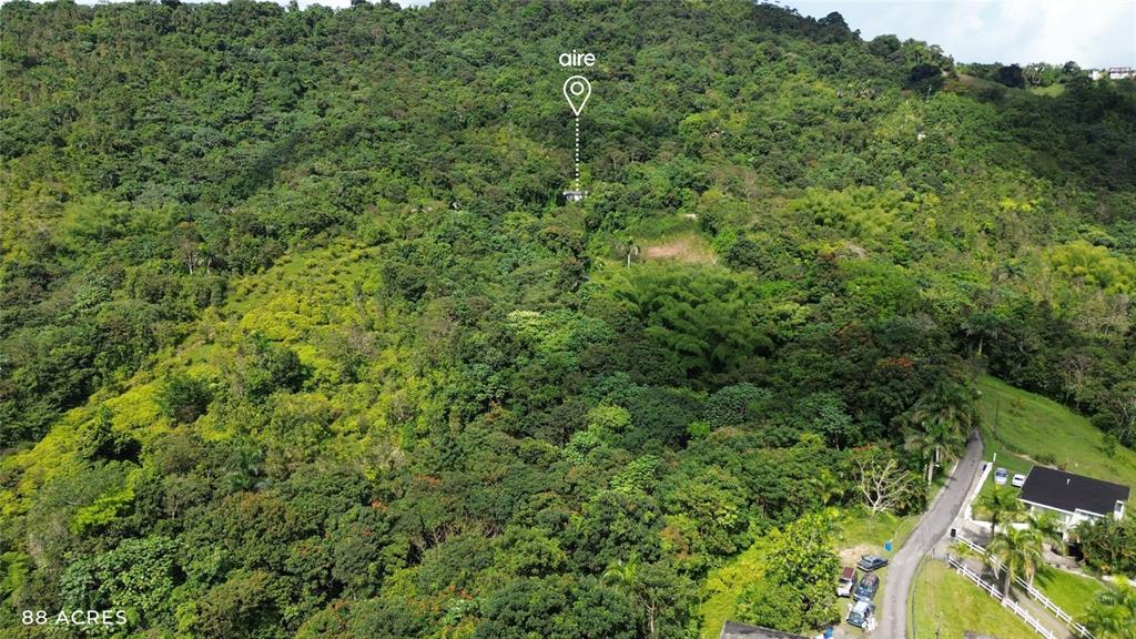 Pr-181 Km 11.0, Cayaguaz, San Lorenzo - 3